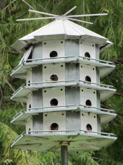 Free Stock Photo of Bird House