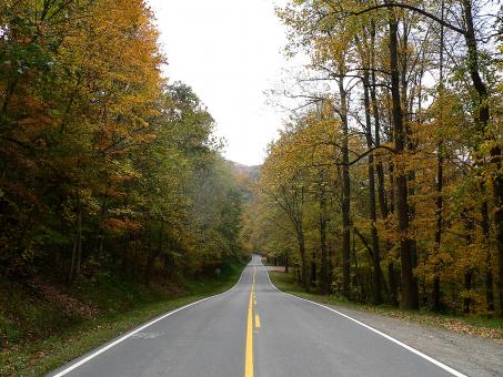 Free Stock Photo of Country Road