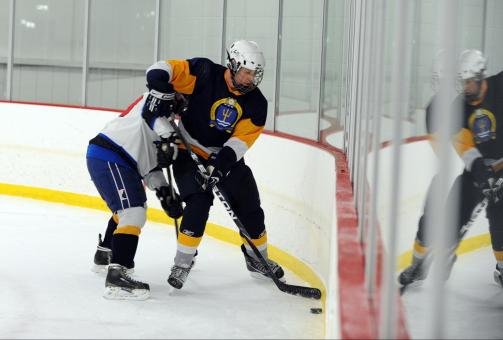 Free Stock Photo of Ice Hockey