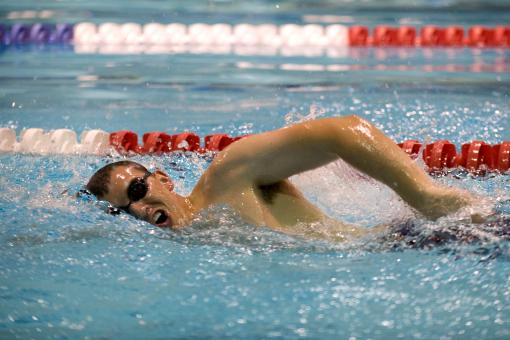 Free Stock Photo of Swimming in the Pool