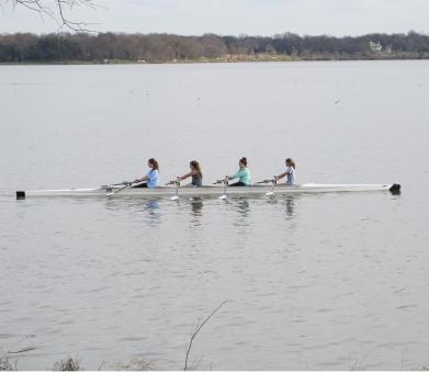 Free Stock Photo of Rowing in the River