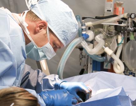 Free Stock Photo of Veterinarian Doctor