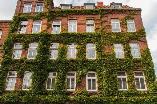 Free Stock Photo of Green house