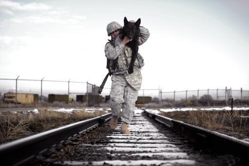 Free Stock Photo of Companions on Track