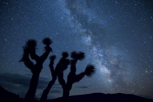 Free Stock Photo of Dark Night