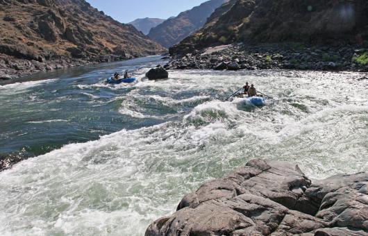 Free Stock Photo of Rafting in the Running Water