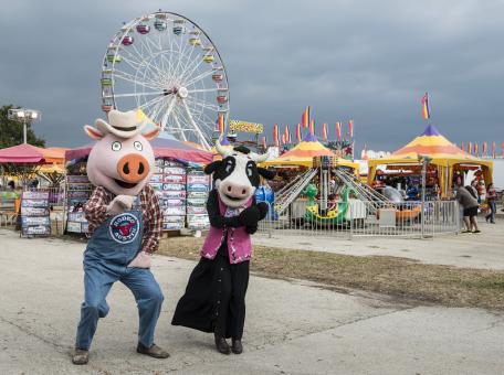 Free Stock Photo of Costumed Pig and Cow