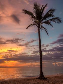 Free Stock Photo of Bavaro Beach