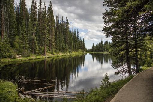 Free Stock Photo of Lake Irene