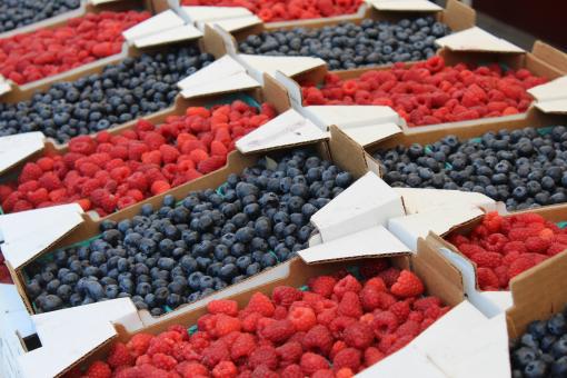 Free Stock Photo of Fruit Stall