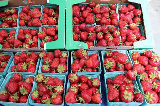 Free Stock Photo of Fresh Strawberries