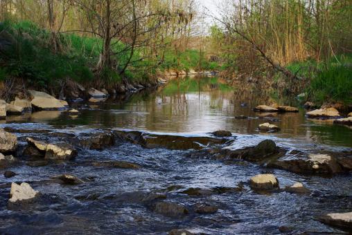 Free Stock Photo of Flowing River