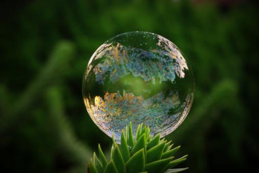 Free Stock Photo of Soap Bubble