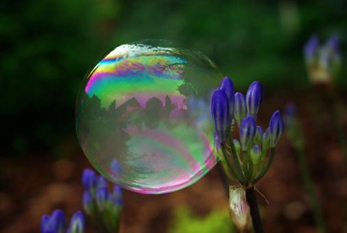 Free Stock Photo of Soap Bubble