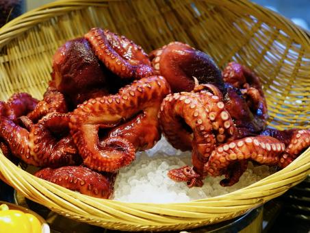 Free Stock Photo of Octopus Dish