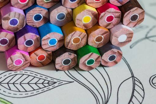 Free Stock Photo of Coloring Book for Adults