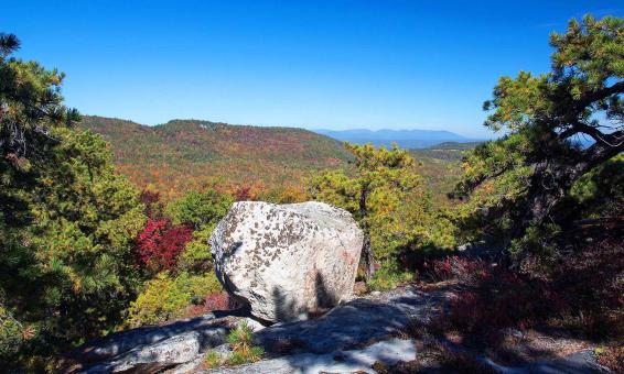 Free Stock Photo of View from a Trail