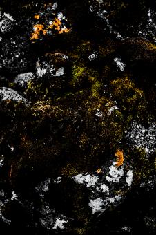 Free Stock Photo of Old Stone and Moss Texture