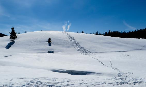 Free Stock Photo of Frozen Route