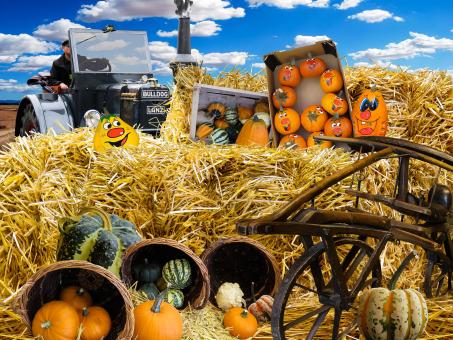 Free Stock Photo of Autumn Pumpkins and Hay Bales