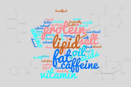 Free Stock Photo of Food components word cloud