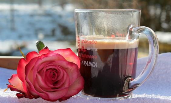 Free Stock Photo of Coffee and Flower