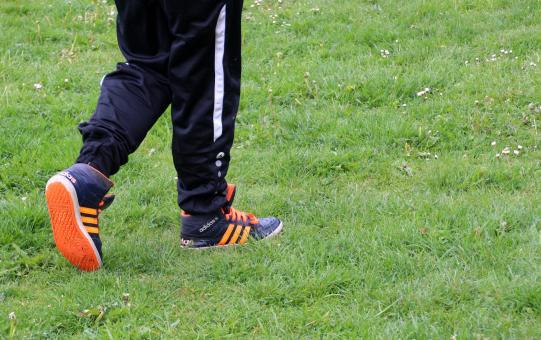 Free Stock Photo of Walking in the Park