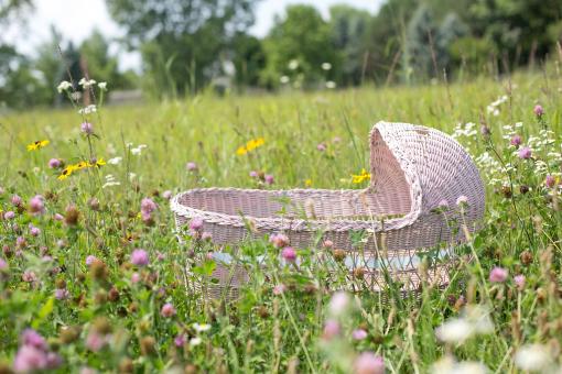 Free Stock Photo of Baby Bassinet in the Garden