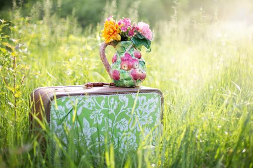 Free Stock Photo of Summer Still Life