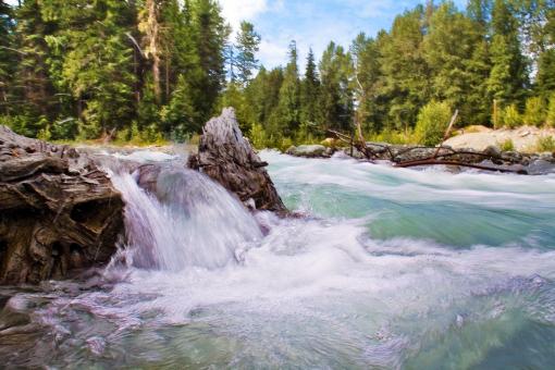 Free Stock Photo of Wild Waterfall