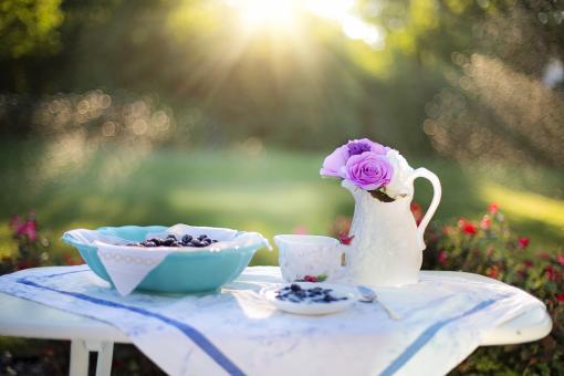 Free Stock Photo of Fresh Blueberries