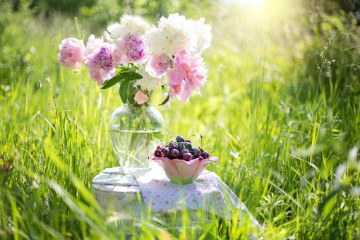 Free Stock Photo of Cherries and Flowers