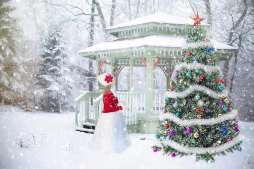 Free Stock Photo of Christmas Background