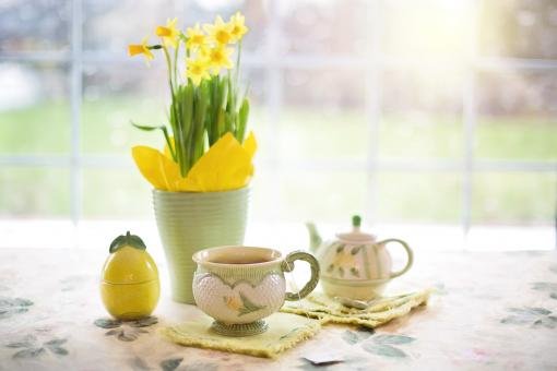 Free Stock Photo of Daffodils and Tea
