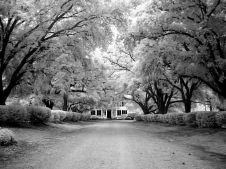 Free Stock Photo of Manor House