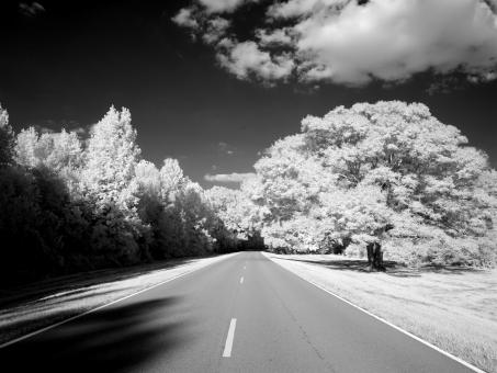 Free Stock Photo of Natchez Trace Parkway