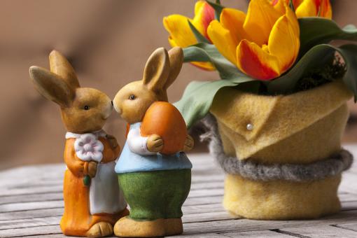 Free Stock Photo of Easter Bunny