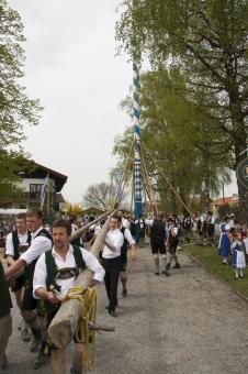 Free Stock Photo of Maypole