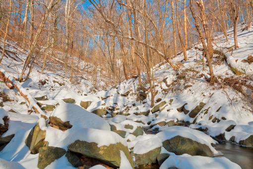 Free Stock Photo of Glen Artney Vinterscape - HDR