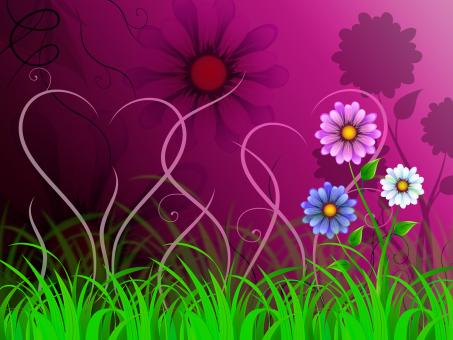 Free Stock Photo of Flowers Background Shows Colorful Pretty And Natural World