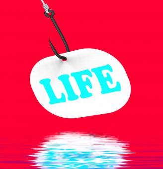 Free Stock Photo of Life On Hook Displays Happy Lifestyle Or Prosperity