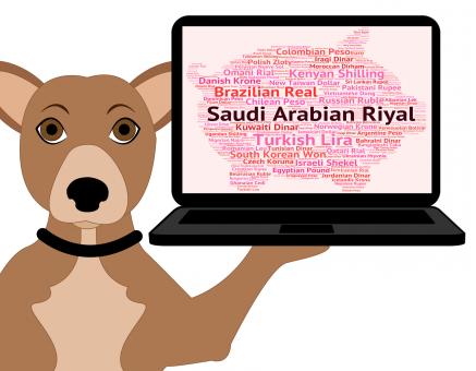 Free Stock Photo of Saudi Arabian Riyal Shows Foreign Currency And Coin