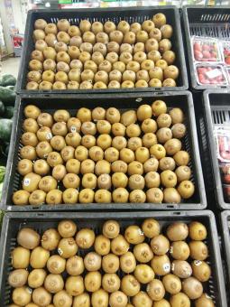 Free Stock Photo of Kiwi Fruits