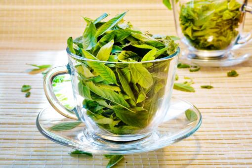 Free Stock Photo of Cup with tea leaves