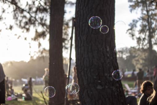 Free Stock Photo of Soap Bubbles in the Park