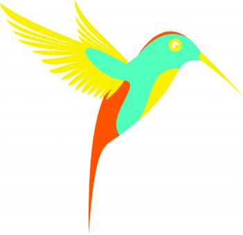 Free Stock Photo of Parrot Vector Illustration