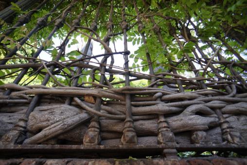 Free Stock Photo of Twisten Wines on Fence