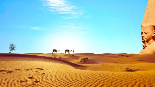 Free Stock Photo of In Egypt