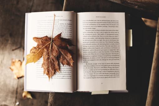 Free Stock Photo of Fallen Leaf on the Book