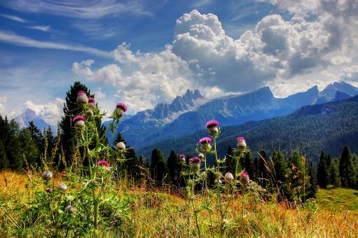Free Stock Photo of Croda da Lago
